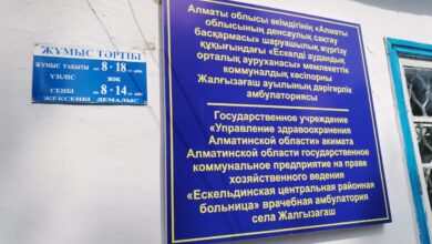 Photo of Алматы облысында жалғызағаштықтар 100 пайыз екпе алды